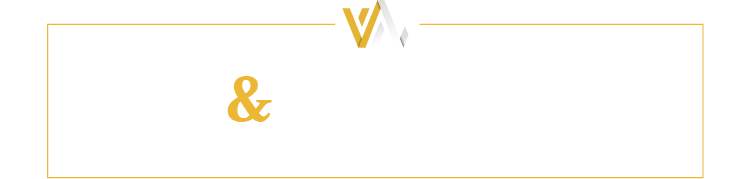 VIP & Partners Logo
